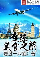 Global Food Tour